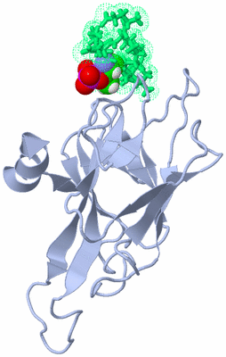 Image NMR Structure - model 1