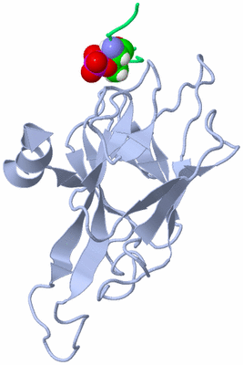 Image NMR Structure - all models