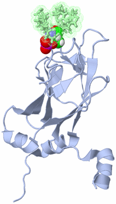 Image NMR Structure - model 1