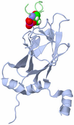 Image NMR Structure - all models