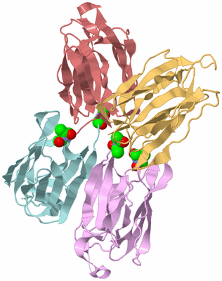 Image Biological Unit 2