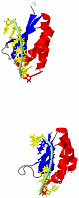 Image NMR Structure - model 1