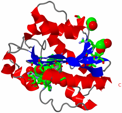 Image Asym./Biol. Unit - sites