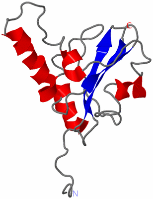 Image NMR Structure - model 1