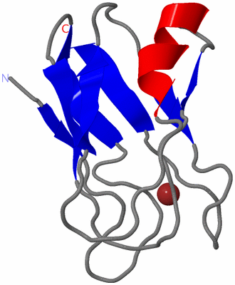 Image NMR Structure - model 1