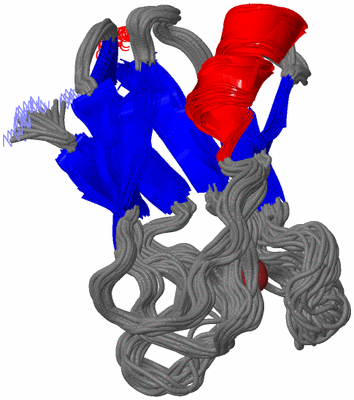 Image NMR Structure - all models