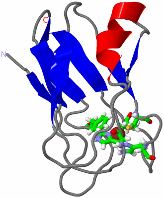 Image NMR Structure - model 1, sites