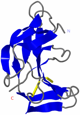 Image NMR Structure - model 1