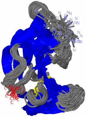 Image NMR Structure - all models