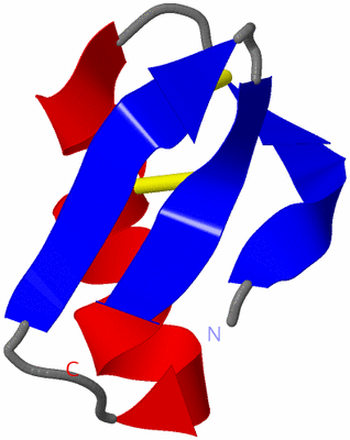 Image NMR Structure - model 1