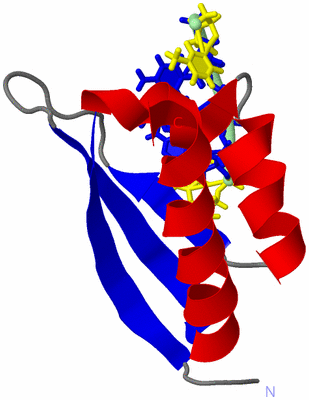 Image NMR Structure - model 1