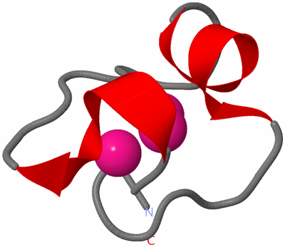 Image NMR Structure - model 1