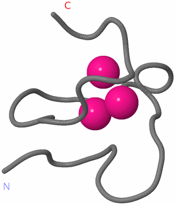 Image NMR Structure - model 1