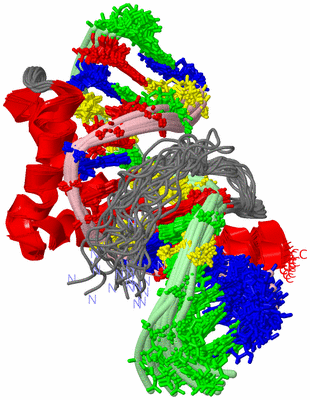 Image NMR Structure - all models