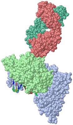 Image Asym./Biol. Unit