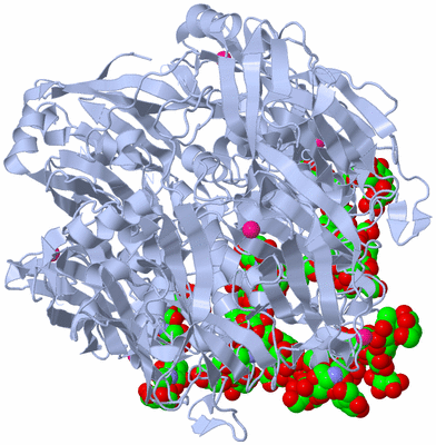 Image Biological Unit 2