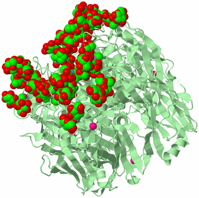 Image Biological Unit 3