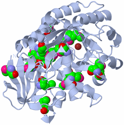 Image Biological Unit 1