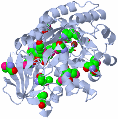 Image Biol. Unit 1 - sites