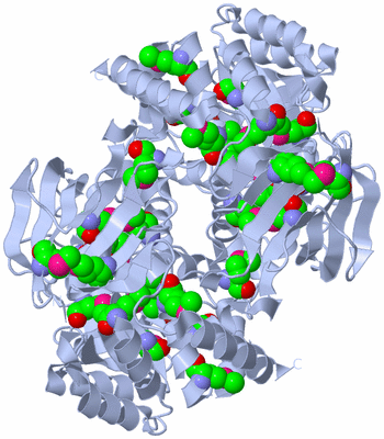 Image Biological Unit 2