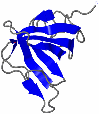 Image NMR Structure - model 1