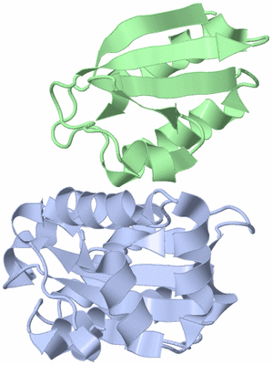 Image NMR Structure - model 1