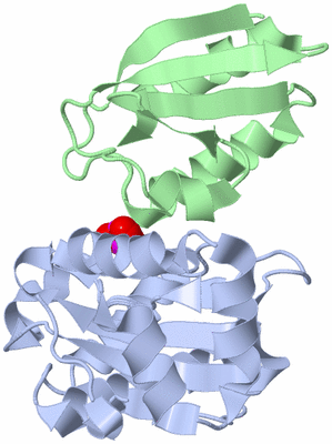 Image NMR Structure - all models