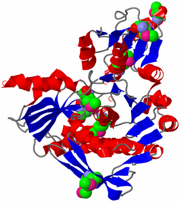 Image Asym./Biol. Unit