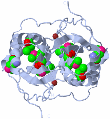 Image Biological Unit 1