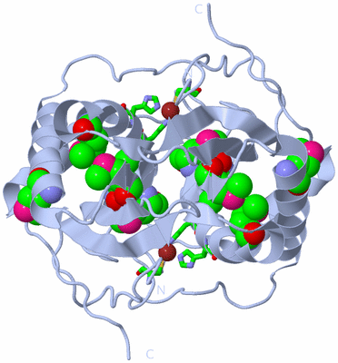 Image Biol. Unit 1 - sites