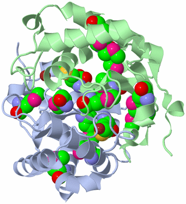 Image Asym./Biol. Unit