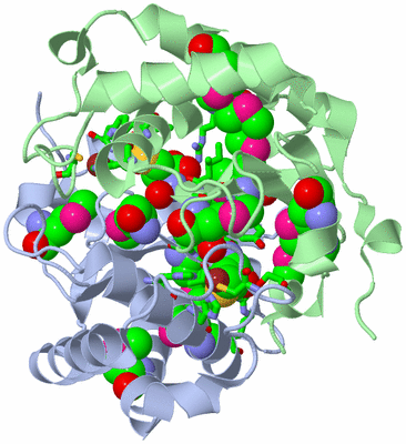 Image Asym./Biol. Unit - sites