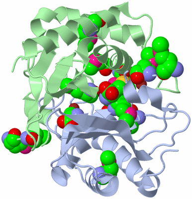 Image Asym./Biol. Unit