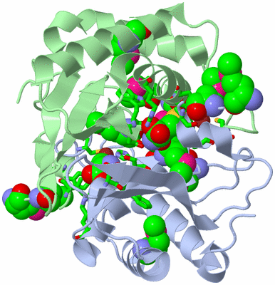 Image Asym./Biol. Unit - sites