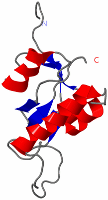 Image NMR Structure - model 1