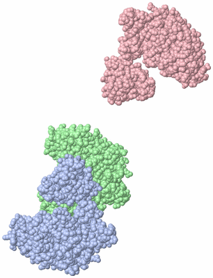 Image Asymmetric Unit