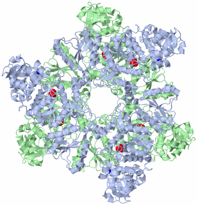 Image Biological Unit 1