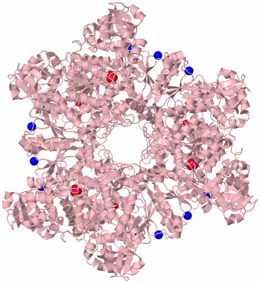 Image Biological Unit 2