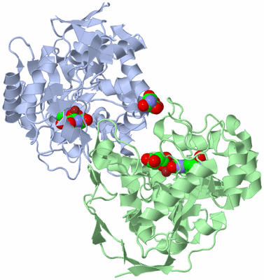 Image Asym./Biol. Unit