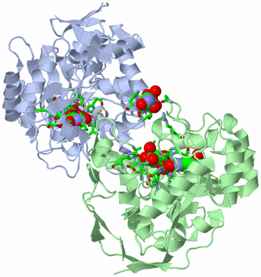 Image Asym./Biol. Unit - sites