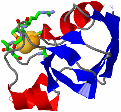 Image Asym./Biol. Unit - sites