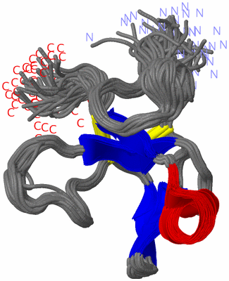 Image NMR Structure - all models