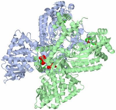 Image Asym./Biol. Unit - sites