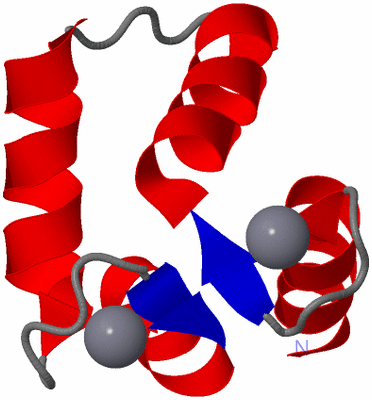 Image NMR Structure - model 1