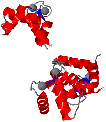 Image NMR Structure - all models