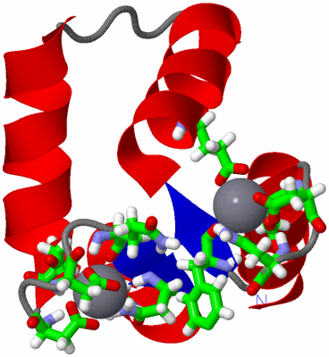 Image NMR Structure - model 1, sites