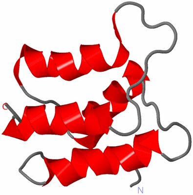 Image NMR Structure - model 1