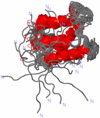 Image NMR Structure - all models