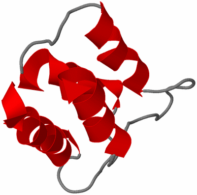 Image NMR Structure - model 1