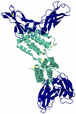 Image Biological Unit 1